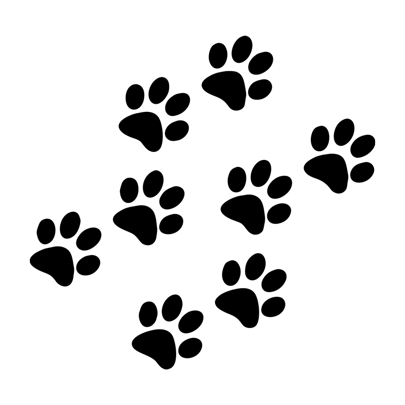 1pc Cat Paw Print Car Sticker  - Motorcycle Gear Auto recensione e prezzo